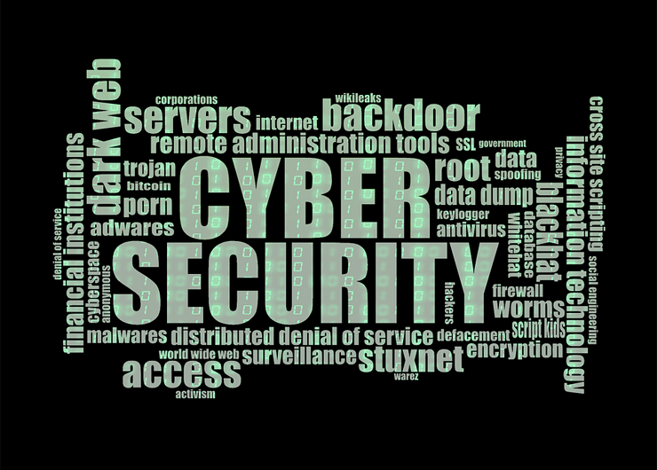 Cyber Security e Privacy